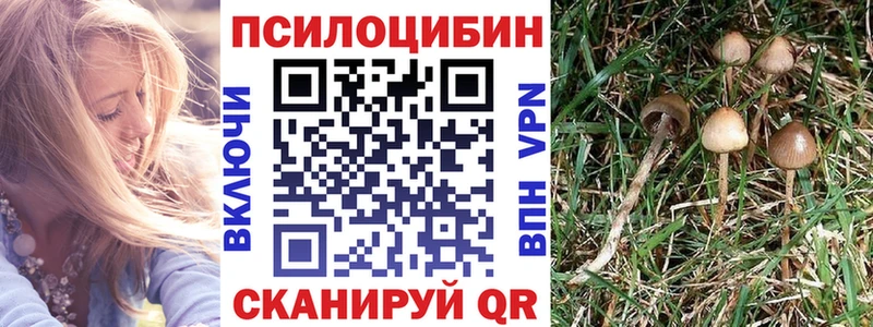Псилоцибиновые грибы Psilocybe Белоусово